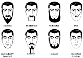 The Presurfer Expanded Beard Type Chart