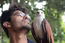 File:The Kerala Eagle (Unedited).jpg