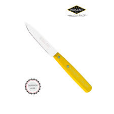 Couteaux A Dents Pour Cuisiner Tous Les Jours Nogent
