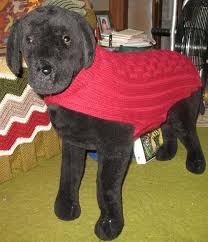 Free Basic Knitted Dog Sweater Pattern For Larger Dogs Great Project For Beginning To Experie Large Dog Coats Dog Sweater Pattern Knitted Dog Sweater Pattern