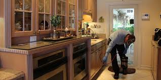 Now $90 (was $̶1̶3̶5̶) on tripadvisor: Exterminator Pest Control Services In West Palm Beach Fl Ohara Pest Control