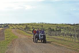 Unfortunately, many managers don't realize their workers are uninspired, dissatisfied or even. More Than 70 Of Farm Workers Are Not Unionised Study Shows