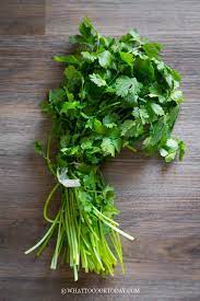 How To Keep Cilantro Fresh Longer In The Fridge