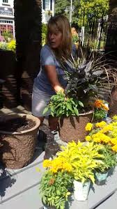 Maybe you would like to learn more about one of these? Sharon Hadden From Allisonville Nursery My Secret Garden