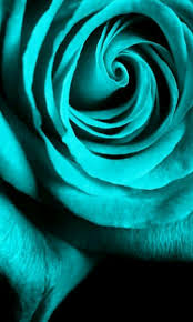 Download wallpaper of iphone mobile. 49 Ide Tosca Hijau Mint Hijau Wallpaper Bunga Iphone