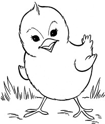 Gambar mewarnai buah manggis kreasi warna. Gambar Anak Ayam