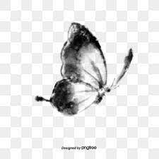 Side Flying Black And White Butterfly Elements In Ink Butterfly Clipart Flying Clipart Wings Png Transparent Clipart Image And Psd File For Free Download In 2021 Butterfly Artwork Cartoon Illustration Black