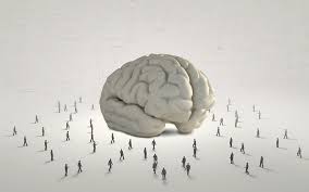 ما هي أنواع العقول افضل اجابة