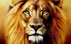 Lion Face Pintura De Zorro Fotos De Leon Pintura De Leon