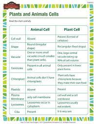 With the basic differences between plant and animal cells illustrated pragmatically through the chart kids will have a fun time learning as well as applying start studying parts of a plant cell their functions 5th grade. Plants And Animals Cells Science Printable For 5th Grade Science Cells Biology Classroom Science Worksheets