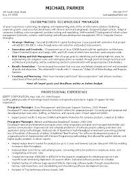 Technical Manager Resume Example