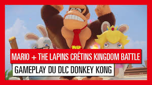 Site Officiel Des Lapins Cretins Mario The Lapins Cretins Kingdom Battle