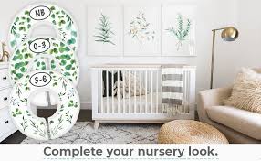 Jader is using poshmark to sell items from their closet. Amazon Com Baby Closet Size Dividers 7x Botanical Nursery Closet Dividers For Baby Clothes Eucalyptus Vines Leaf Plant Greenery Nursery Decor Baby Closet Dividers For Boy Or Girl Botanical Baby