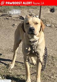 Lafayette, Louisiana