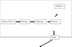 Extraction D Huile D Olive Par Le Procede En Discontinu A Download Scientific Diagram