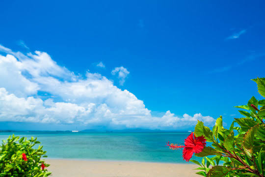 沖縄」の写真素材 | 245,055件の無料イラスト画像 | Adobe Stock