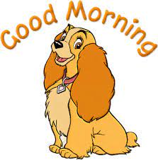 # good morning # goodmorning # bea miller # whatsapp status # good. Good Morning Gif Morning Funny Lovely Gifs Image Download For Whatsapp