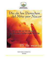 Te compartimos dos puntos muy importantes sobre el aborto que todos deberíamos tener en cuenta. Plan De Actividades Nino Por Nacer Micro Red La Esp 2013