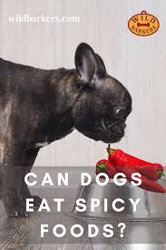 Pin On Can Dogs Eat