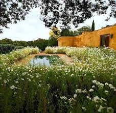 Fernando Caruncho Garden Photo By Silvia Cerrada Garden Architecture Landscape Design Garden Planning