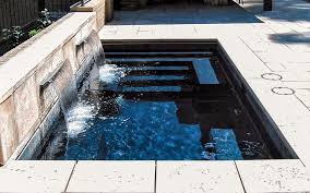 Plunge swimming pools are small pools but deep enough to dip in, so you can always accommodate one even in a small backyard. Is A Plunge Pool Right For You Leisure Pools Canada