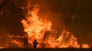 Feral predators and grazers, weeds and unsustainable land and water use have. Australian Bushfires One Year On How Black Summer Of Death And Destruction Erupted