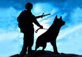 A Tribute To War Dogs On Memorial Day War Dogs Dog Hero Military Working Dogs