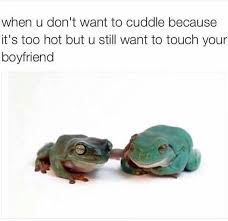 Showy Cute Memes For Boyfriend Funny Boyfriend Memes Boyfriend Humor Boyfriend Memes