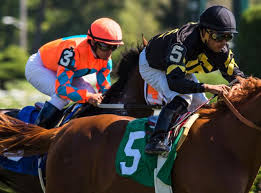 Horse racing as a drinking game is a very fun card drinking game with cardsin which players bet which horse will actually win the race. New York Horse Racetracks Belmont Stakes Saratoga Traver