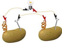 You should wrap the wire around the penny a few times. Potato Light Bulb Experiment Study Com