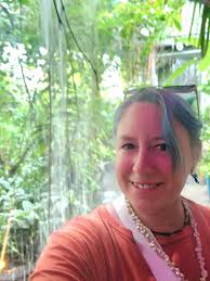 Sighting of a healthy little girl koala in Cleveland