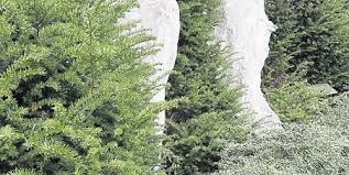 From wikipedia, the free encyclopedia. Yrsa Von Leistner Grunpfleger Befreien Skulpturen In Sankt Augustin Aus Hecke Kolner Stadt Anzeiger