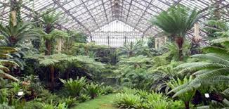 Asia's most exciting international music conservatory and one of the world's most distinctive. Garfield Park Conservatory Chicago Park District