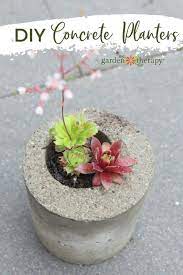 Mini concrete planters with faux succulents from love create celebrate How To Make Concrete Planters