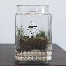 Star Wars Terrarium Storm Trooper Endor By Galaxyterrarium On Etsy Https Www Etsy Com Listing 753921662 Star Wars Ter Star Wars Figurines Star Wars Terrarium