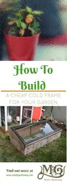 I discovered last season that upended clear and opaque plastic bins make exemplary cold frames for growing things in the garden in cool weather. Build A Cheap Cold Frame That Will Save You Money This Year Misfit Gardening