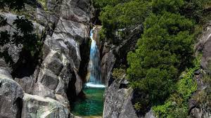 We did not find results for: Mulher Resgatada Com Ferimentos Apos Queda Em Cascata No Geres