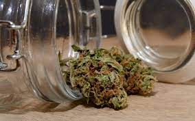 How To Store Weed For Extended Periods Of Time | High Times