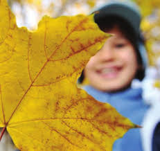 Audubon December 2024