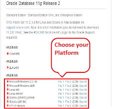 In order to install the oracle data integrator (odi) 11g (11.1.1.9.0) you have to : Step By Step Installation Of Oracle 11g On Windows 7 64bit