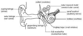 Aplikasi ini mengandungi nota sains yang ringkas dan padat. Sains Bab1 Tingkatan 2