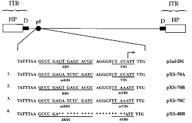 Image result for White 1995 AAV