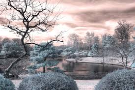 Winter garden is a city located 14 miles west of downtown orlando in the western part of orange county, florida, united states. Missouri Botanical Garden Infrared Pond Blue Photograph By Jane Linders