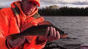 Sep 9, 2017 | fishing edge tv. Birch Bark Lodge Into The Wild Wigwascence Lake Ontario
