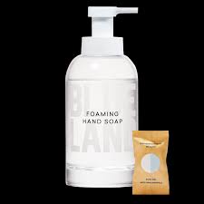 I love this super simple and quick. Natural Non Toxic Foaming Hand Soap Blueland