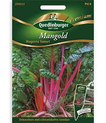 Intercessory prayer in north america beseeching.org has been redesigned and relaunched to help the saints in north america participate in coordinated prayer for the lord's move as a continuation of the 60 days of global prayer using unceasinglypray.org. Mangold Magenta Sunset Mangold Samen Bei Baldur Garten