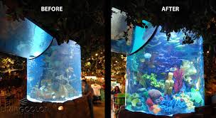 Commercial Aquariums Living Color Aquariums Custom Aquarium Aquarium Artificial Coral