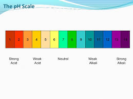 Ph Scale