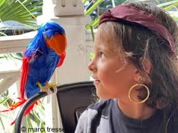 Marci Tressel's Instagram, Twitter & Facebook