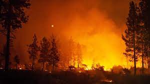 Maybe you would like to learn more about one of these? Secheresse Et Incendies Criminels Cocktail Letal De La Californie A La Grece Le Soir Plus